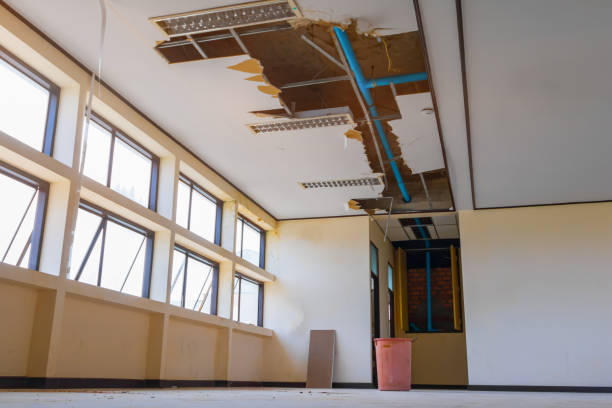 Best Flood restoration services  in Milford, IA