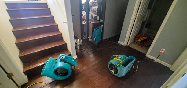 Best Water damage contractors near me  in Milford, IA