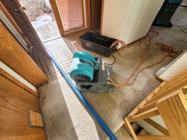 Best Ceiling water damage repair  in Milford, IA