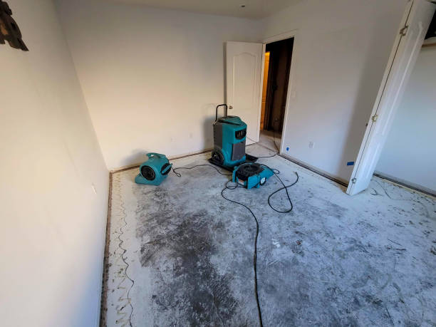 Best Carpet water damage restoration  in Milford, IA