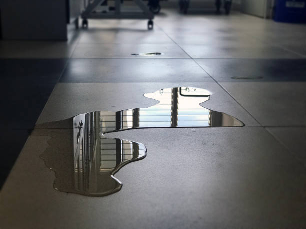 Best Water damage cleanup near me  in Milford, IA